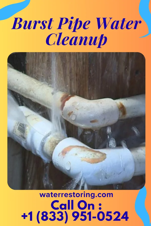 Burst Pipe Water Cleanup in Galestown, MD