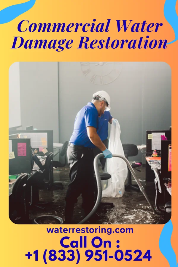 Commercial Water Damage Restoration in Galestown, MD