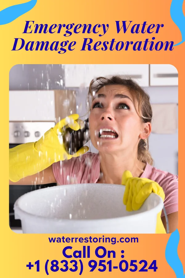 Emergency Water Damage Restoration in Galestown, MD
