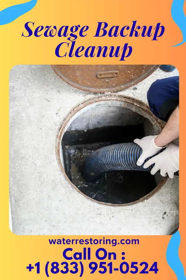 Sewage Backup Cleanup in Galestown, MD