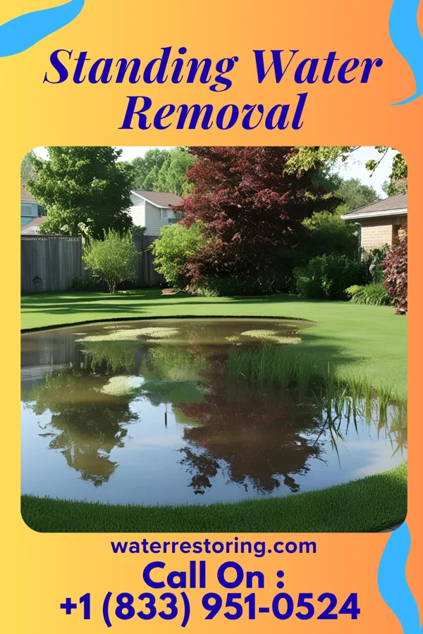 Standing Water Removal in Galestown, MD